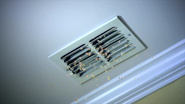 Best Air Duct Cleaning Near Me  in Dixon, MO