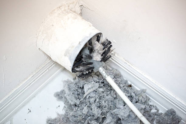 Best Professional Duct Cleaning Services  in Dixon, MO
